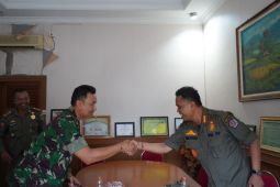 Kodam Udayana minta maaf oknum TNI ikut serang Satpol PP Denpasar