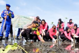 Forkopimda Situbondo kolaborasi tanam 1.000 bibit mangrove