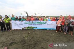 Mangrove, penyeimbang keanekaragaman hayati dan upaya mitigasi bencana