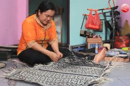 Pelatihan lanjutan pengolahan motif anyaman rotan Barsel