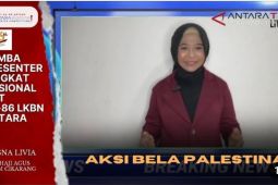 Aksi bela Palestina