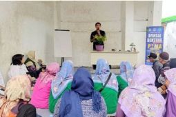 PPBI beri pelatihan budidaya dan perawatan bonsai untuk pemula