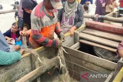 BMKG Bengkulu : Fenomena ikan di permukaan karena perubahan suhu