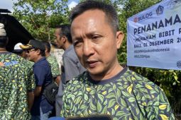 Bulog Bali: Stok beras 7.300 ton aman hingga Natal dan tahun baru