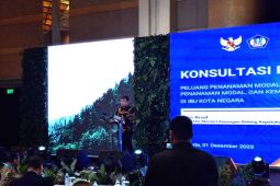 Pemerintah gratiskan pajak untuk UMKM yang berlokasi di IKN Nusantara