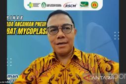 WHO keluarkan rekomendasi untuk mencegah wabah pneumonia