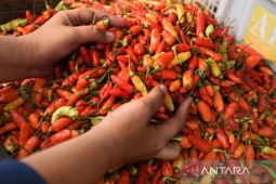 Inflasi y-on-y Tanjungpandan Belitung tertinggi di Indonesia