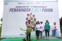 Sinergi BUMN peringati HMPI, Perhutani-ID Survey tanam pohon di Gunung Dago Bogor