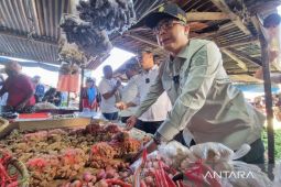 Wamentan tinjau pasokan komoditas pangan di Pasar Wosi