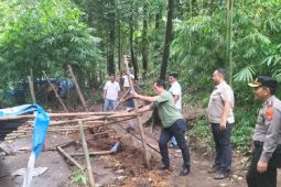 Polda Sumut bongkar gubuk narkoba di Deli Serdang