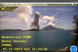 Gunung Anak Krakatau erupsi dua kali pada Sabtu