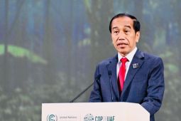 Presiden Jokowi paparkan langkah Indonesia capai penyerapan karbon hutan