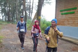 BKSDA Sumbar tutup jalur pendakian Gunung Marapi pascaerupsi pada Minggu siang