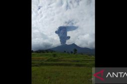 Gunung Marapi Sumatra Barat erupsi