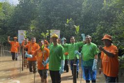 Danamon dan Adira Finance kembangkan kawasan Mangrove Tanjung Piayu Batam
