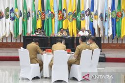 Mendagri minta pemda awasi kenaikan harga cabai merah