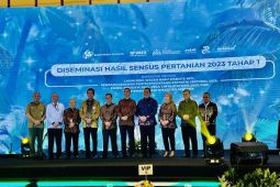 Sensus Pertanian BPS mencatat usaha pertanian capai 29,4 juta unit