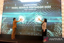 Pemprov Maluku: Data Sensus Pertanian 2023 perkuat ketahanan pangan