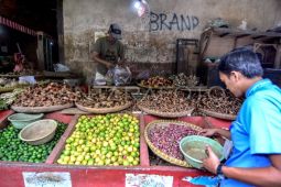 Indonesia miliki potensi besar kembangkan obat bahan alam