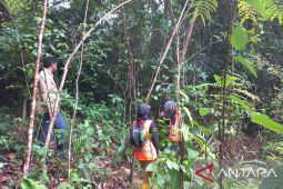 PT Timah Tbk Lestarikan Flora dan Fauna Endemik di Mentok dan Kundur