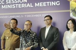 Indonesia developing sustainable coconut industry: Trade Minister