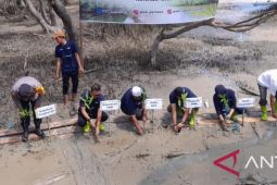 PNM Jambi tanam 5.000 pohon mangrove di kawasan wisata Pangkal Babu Tanjab Barat