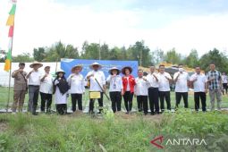 Forkopimda se-Babel lakukan tanam pangan bersama tekan inflasi