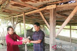 KLP Mitra Jaya dapat bantuan bebek petelur dari PT SMGP