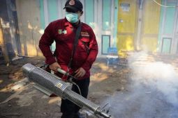 Pasien usia sekolah mendominasi kasus demam berdarah di Kota Madiun
