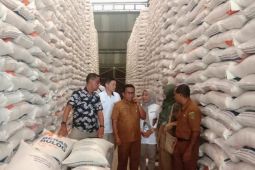 Pemprov  Maluku jamin stok beras cukup hingga empat bulan ke depan