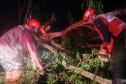 BPBD Cianjur tingkatkan pengawasan di lokasi rawan bencana