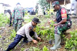 TNI Kodim 1620 NTB ajak warga tanam pohon di Bukit Pelet Lombok Tengah