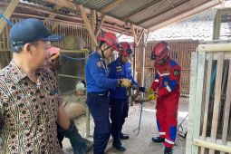 Damkar Trenggalek evakuasi ular piton masuk permukiman warga