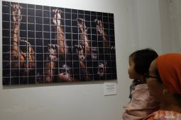 Bali kemarin, Canggu masih jadi incaran investor hingga Kisah Rimba di Dharma Negara Alaya