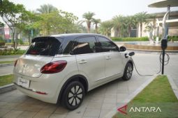 Percepat transformasi mobil listrik untuk selamatkan bumi