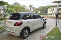 Wuling hadirkan BinguoEV masih dapat Electric Icon Priority Pack