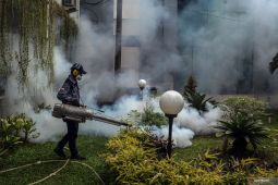 Kemenkes catat 621 kematian akibat DBD pada minggu ke-17