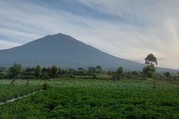 Balai Besar TNKS batasi aktivitas pendakian di Gunung Kerinci