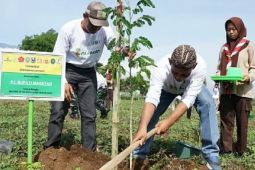 Pemkab Magetan tanam ribuan bibit pohon dukung pelestarian lingkungan