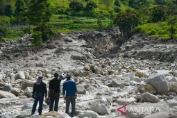 DLHK: Penanaman bambu  di Humbang Hasundutan sebagai pemulihan alam