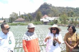 OJK Bali utamakan kehati-hatian saat restrukturisasi kredit berakhir