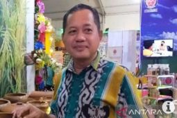 Kotabaru DPRD encourages farmers to revitalize local sugar palm plants