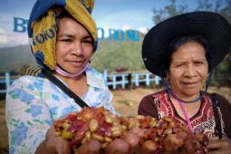 Bupati Manggarai Barat ajak wisatawan nikmati liburan di Labuan Bajo