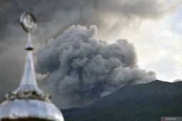 Polda periksa dua pegawai BKSDA Sumbar terkait insiden Gunung Marapi