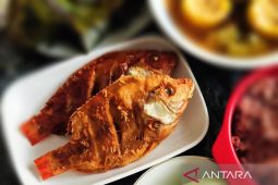 Makan ikan selama kehamilan bisa kurangi risiko autisme pada anak