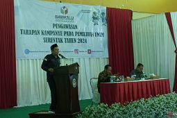 Camat dan Kades berperan strategis awasi Pemilu