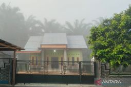 BPBD cari sumber kabut asap di Mukomuko