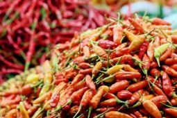 Pemkot  Ambon siapkan subsidi tekan harga cabai