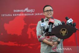 Menpan RB bertemu Presiden Jokowi bahas percepatan transformasi digital