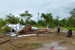 Dinsos dan BPBD Koltim bantu korban angin puting beliung